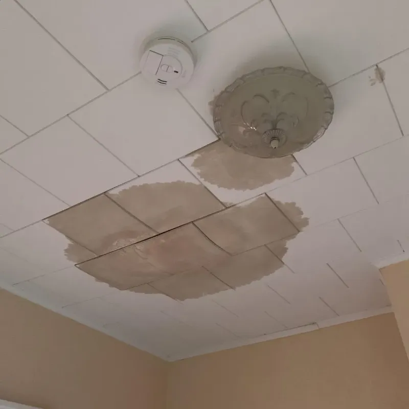Ceiling Water Damage Repair in Dover, PA
